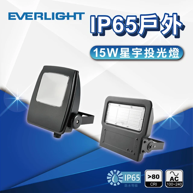 Everlight 億光 80W 星宇投光燈 全電壓 IP6
