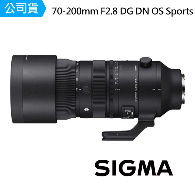 Canon RF800mm f/11 IS STM(平行輸入