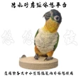 【YOYO 悠悠水族】防水砂磨趾休憩平台(鳥飼料、鸚鵡飼料、鳥用品、鳥玩具、鸚鵡用品、鸚鵡玩具)