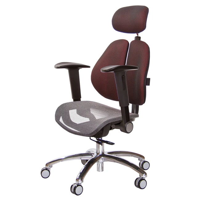 GXG 吉加吉GXG 吉加吉 高雙背網座 工學椅 鋁腳/摺疊升降扶手(TW-2806 LUA1)