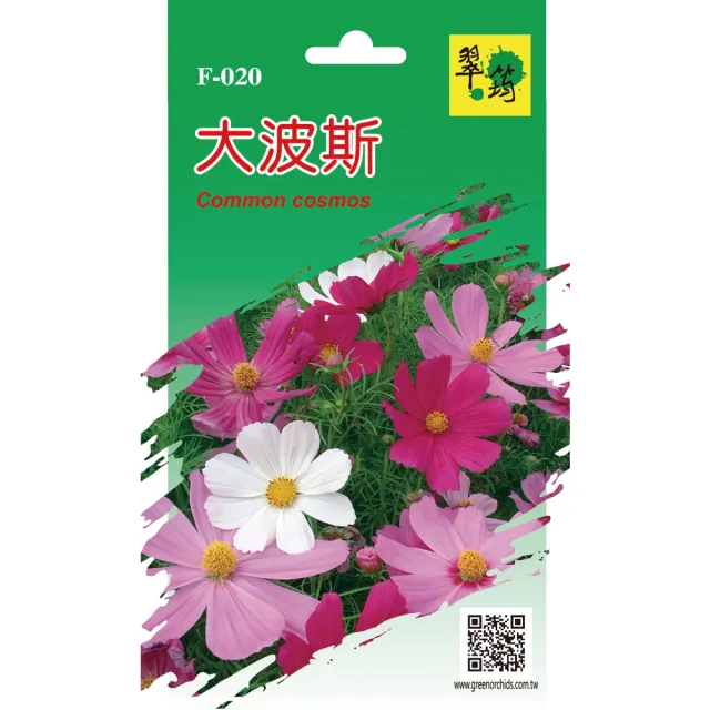 【翠筠用品】花卉種子C組