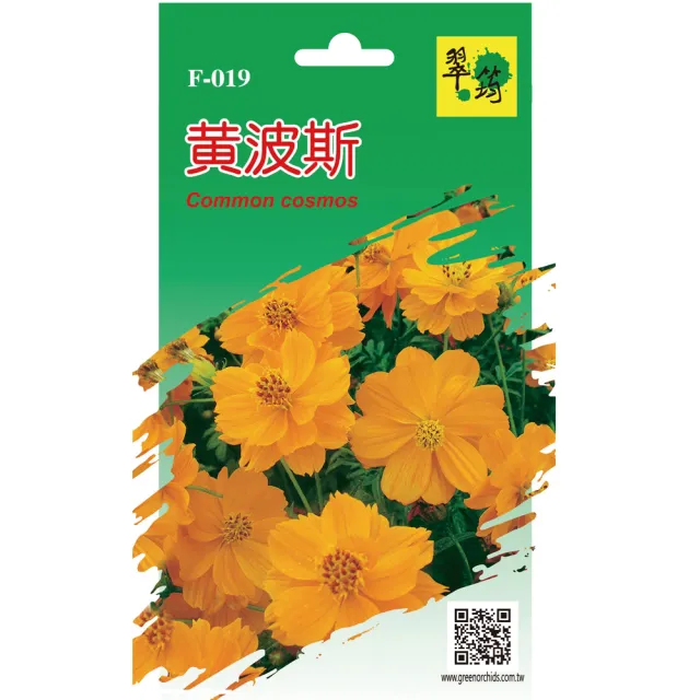 【翠筠用品】花卉種子B組