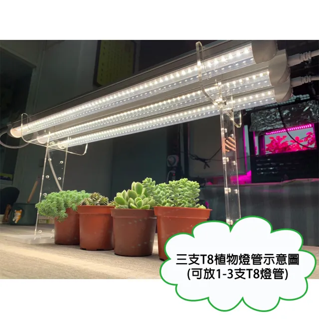 【JIUNPEY 君沛】透明壓克力植物燈管架(T8專用 燈架)