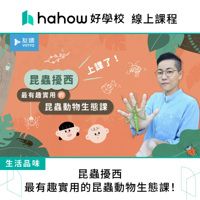 Hahow 好學校 昆蟲擾西｜最有趣實用的昆蟲動物生態課！