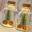【iSFun】聖誕風情＊許願玻璃瓶微景觀小夜燈(多款可選)