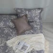 【MONTAGUT 夢特嬌】60支100%萊賽爾纖維-天絲三件式枕套床包組-葉下印象(雙人)