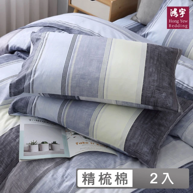 Yenzch 珊瑚絨枕頭巾/2入 70x50cm 知性灰(R