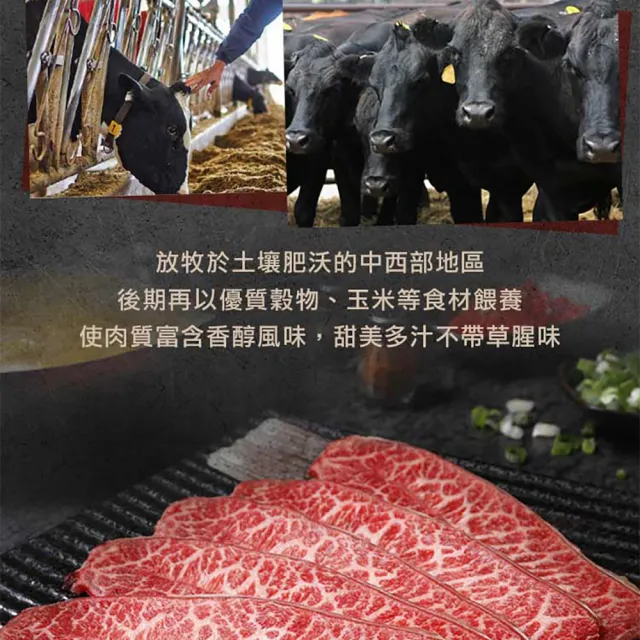 【享吃肉肉】美國特選板腱牛肉片6盒(150g±5%/盒)