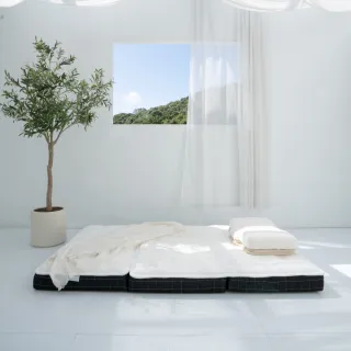 【LoveFu】無光厚墊 加大單人3.5尺 + 月眠枕 基本款(厚床墊＋枕頭 2件組 加贈輕青枕頭套1入)