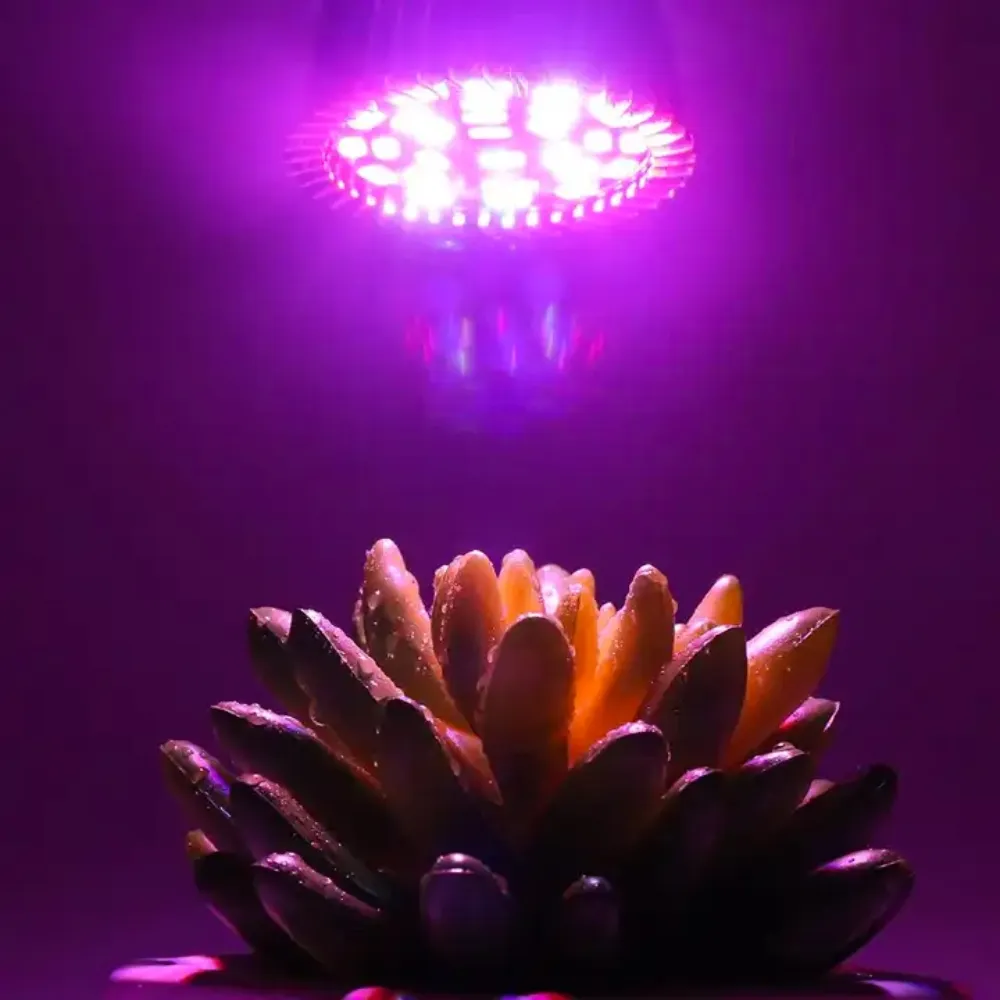 【微糖花植間】SJ 紅藍植物燈/植物生長燈(補光專用燈、著色專用燈)