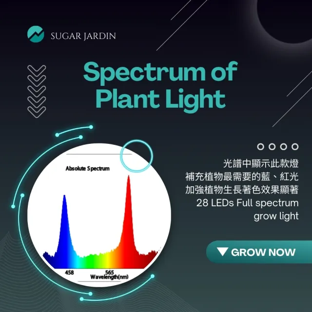 【微糖花植間】SJ 紅藍植物燈/植物生長燈(補光專用燈、著色專用燈)