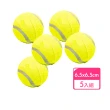 【Kao jing 高精】練習網球 5入組(寵物玩具球 網球 寵物網球)