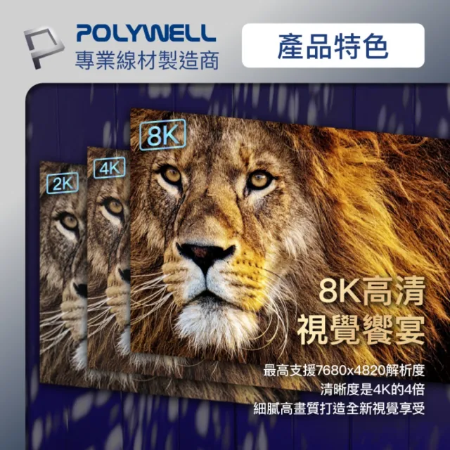 【POLYWELL】Type-C公轉DP公 雙向轉接線 8K60Hz /3米