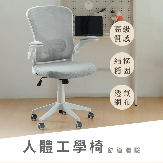 凱堡 羅典高韌性透氣三孔成型泡棉工學椅(電腦椅／主管椅／機能