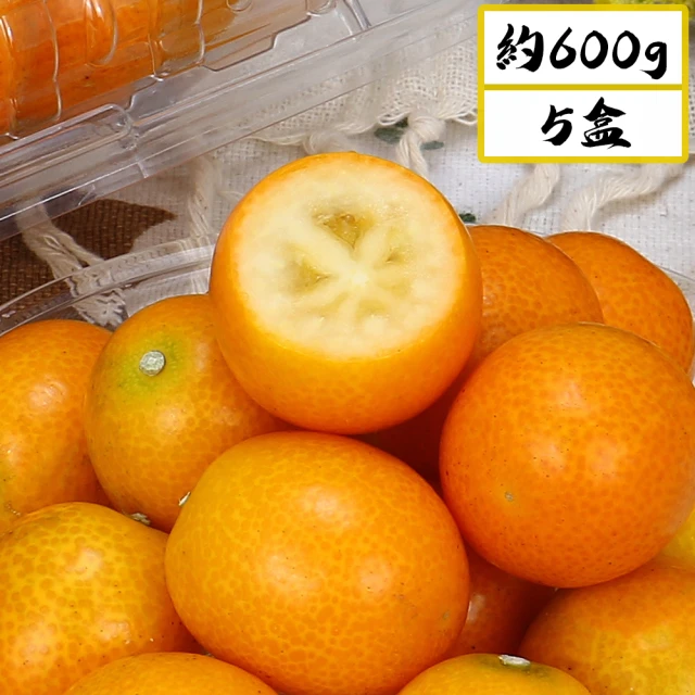 愛蜜果 台灣產 日本金桔/甜橘/一口柑 X5盒(600克+-