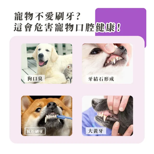 【呵護愛寵】三面全方位無死角寵物牙刷(軟毛刷 寵物用品 貓牙刷 狗牙刷 清潔口腔 寵物配件 潔牙 刷牙)
