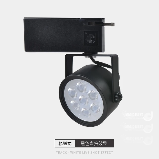 Everlight 億光 50W 星宇投光燈 全電壓 IP6