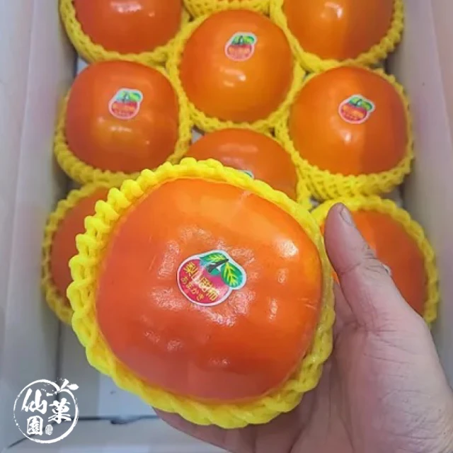 果樹寶石 梨山富有特大甜柿2入x4盒（1斤/盒）（9兩/顆）