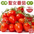 【WANG 蔬果】台灣嚴選溫室聖女番茄600gx10盒(600g/盒)