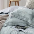 【HOYACASA  禾雅寢具】100%抗菌天絲兩用被床包組-織葉流年(特大)