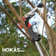 【HOKAS】4.2公尺 省力高枝樹剪 搭單鉤鋸 伸縮棍(適用4.2至5米高的樹木 台灣製 S121+144)
