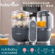 【babymoov】法國 食物調理機 Nutribaby+(調理機  多功能食物調理機)