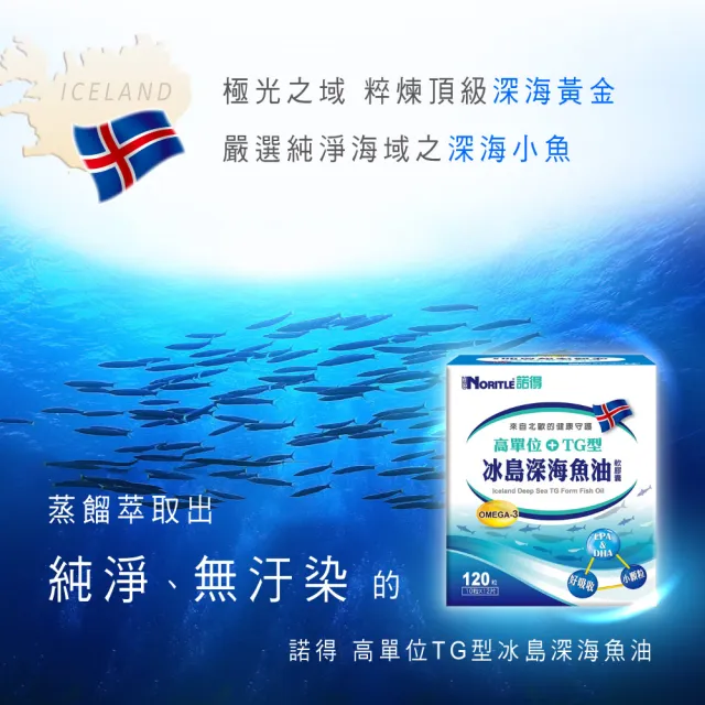 【諾得】高單位TG型冰島深海魚油軟膠囊120粒(5盒/顆粒小.好吸收.OMEGA3.EPA.DHA.深海小魚)