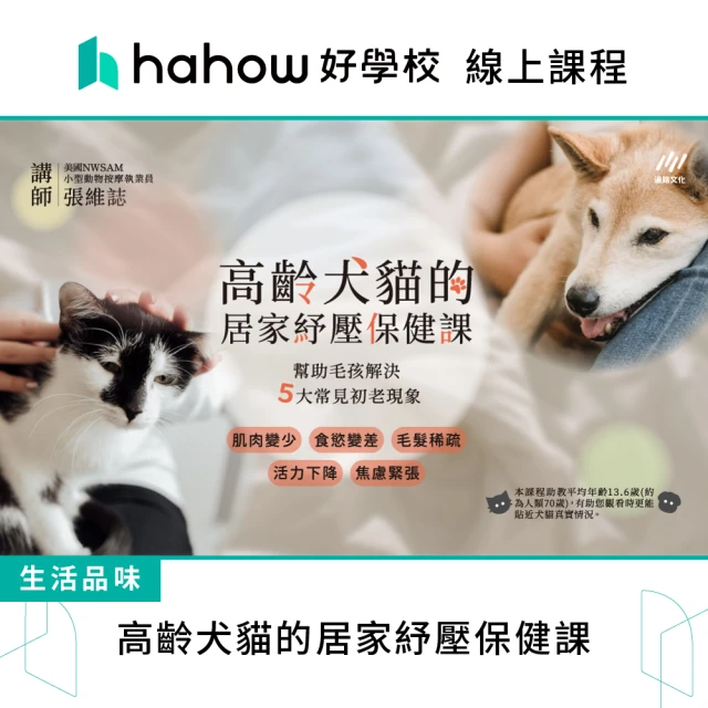 Hahow 好學校 高齡犬貓的居家紓壓保健課