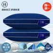 【Hilton 希爾頓】石墨烯銀離子6D可水洗健康獨立筒枕/買一送一(枕芯x2+枕套x2/透氣枕/枕頭)
