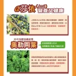 【黃馬琍老師】a莎依纖鮮自然x5盒 茶包式包裝-每盒10包入