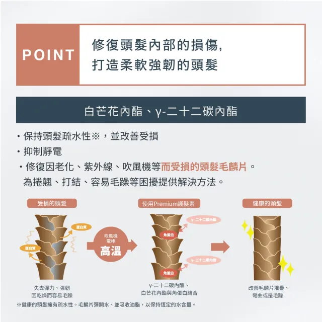 【Premium】日本進口 賦活護髮素500mlx1入(水解角蛋白/高滲透力)