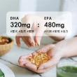 【漁人生醫】85%西班牙魚油DHA+EPA 3入組（60粒/盒）(Solutex專利高濃度魚油)