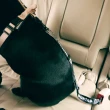 【LUCY’S MOUNTAIN】寵物車用安全帶(寵物安全帶 伸縮安全帶 寵物車用安全帶 狗狗安全帶)