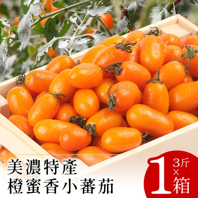 皮果家 雙色小番茄4斤/箱 推薦