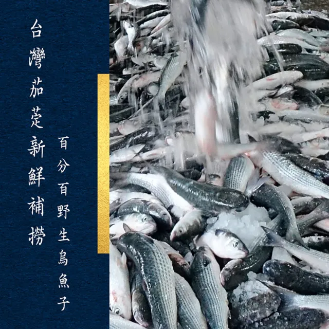 【山海清】野生一口奶酪烏魚子(100G/盒 春節送禮)