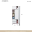 【時尚屋】[MX22]蒂安娜2.6尺書櫃MX22-A22-20(免運費 免組裝 書櫃)