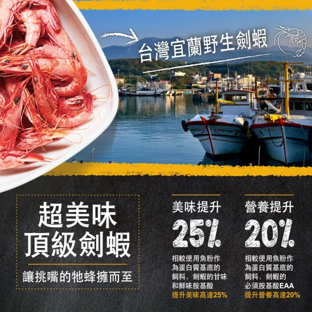 【鮮蝦食譜】孔雀＆卵胎生魚-全天然螺旋藻大蒜蝦肉堡1150ml(孔雀魚飼料 魚飼料 水族飼料)