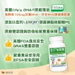 【赫而司】美國植物DHA藻油+PS腦磷脂4罐(共240顆金巧DHA磷脂絲胺酸升級版懷孕哺乳婦兒童素魚油智能發育)
