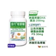 【赫而司】美國植物DHA藻油+PS腦磷脂1罐(共60顆金巧DHA磷脂絲胺酸升級版懷孕哺乳婦兒童素魚油智能發育)