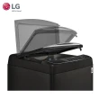 【LG 樂金】13公斤◆WiFi蒸氣變頻直立式洗衣機 極光黑(WT-SD139HBG)