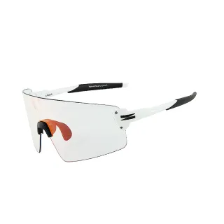 【ZIV】運動太陽眼鏡/護目鏡 ARMOR風暴系列 變色鏡片(可加掛近視內鏡/G850鏡框/墨鏡/眼鏡/運動/自行車)