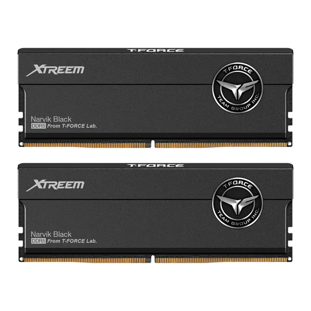 【Team 十銓】T-FORCE XTREEM  DDR5-8000 48GB 24Gx2 CL38桌上型超頻記憶體(DDDR5 幻境 8000 24GBx2)