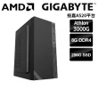 【技嘉平台】AMD 雙核 {佛洛斯} 文書電腦(Athlon 3000G/B450/8G/256G SSD)