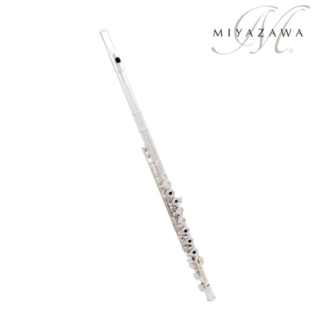 宮澤MIYAZAWA】MJ-20RE 長笛(開孔附E鍵) - momo購物網- 好評推薦-2026年6月
