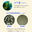 【日本原裝BE BIO】加濕器專用碘離子除菌劑4g-1入(無香味-日本納豆菌淨化專利技術)