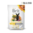 【Brit咘莉】囓齒動物專用-健康零食棒 80g*2入組(鼠兔零食)