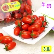【愛蜜果】溫室玉女牛奶小蕃茄3盒(600克/每盒)