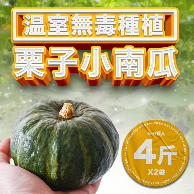 果樹寶石 卓蘭溫室小栗子南瓜6-9顆x2袋（4斤/袋）(無毒藥檢合格 一顆一人份剛剛好)