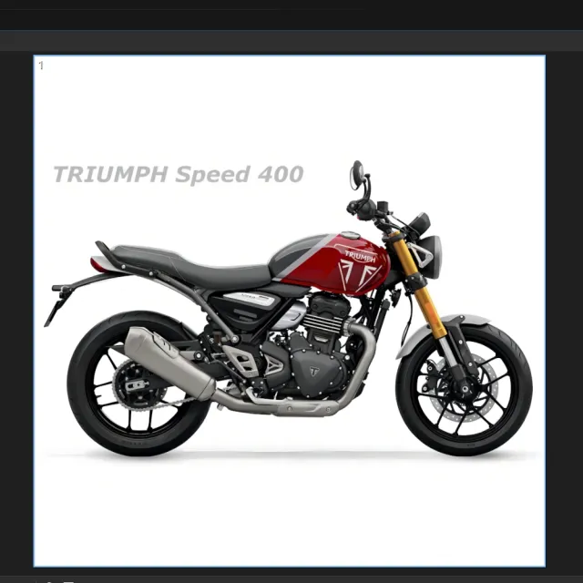 【TRIUMPH】Speed 400(Speed 400)
