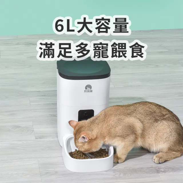 【dudupet】小白智慧寵物餵食器 6L 智慧版APP遠端版(貓咪自動餵食器 狗狗餵食器 寵物飼料機)